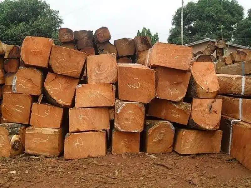 gỗ gụ và gỗ hương gỗ nào đắt hơn