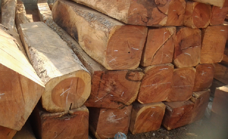 cách nhận biết gỗ gụ pha tạp